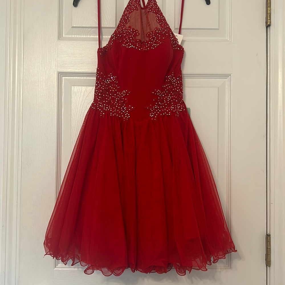 Bold Red Dress Size 1